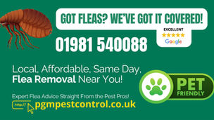 Got a Flea Problem? Need Help Getting Rid of Fleas?