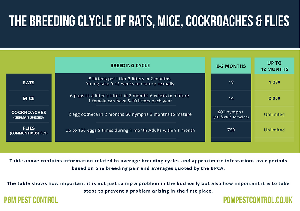 PGM & SON; The Breeding Cycle of Rats, Mice and Cockroach Infographic