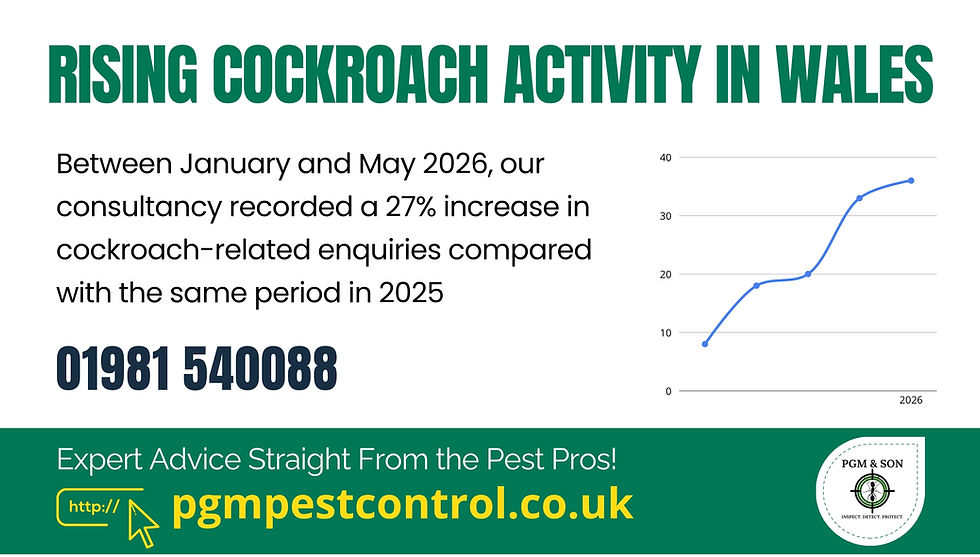 Rising Cockroach Activity in Wales What the Data and Field Evidence Suggest