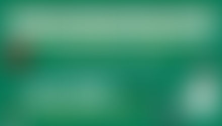 Christmas at PGM pest control services emergency call out 24 hours hereford herefordshire worcester worcestershire 2025