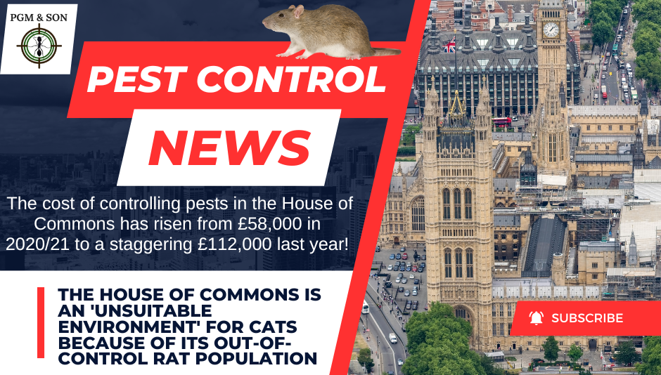 The House of Commons is an 'unsuitable environment' for cats because of its out-of-control rats