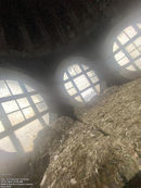 Before image of a huge amount of pigeon guano bird poo inside loft rafters in Hereford town hall