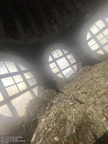 Before image of a huge amount of pigeon guano bird poo inside loft rafters in Hereford town hall