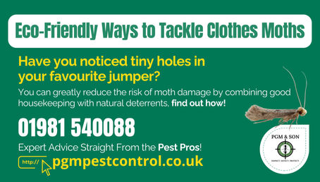 Eco-Friendly Ways to Tackle Clothes Moths in Herefordshire & Worcestershire