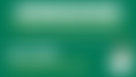 What can I do about Cluster Flies? Practical Tips and Solutions for Homeowners