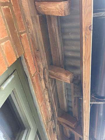 Pest proofing work for birds, rodents and squirrels