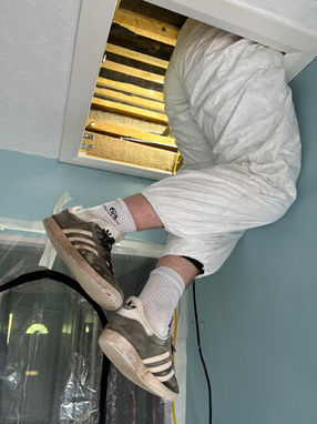 Phil Martin carrying out a loft inspection