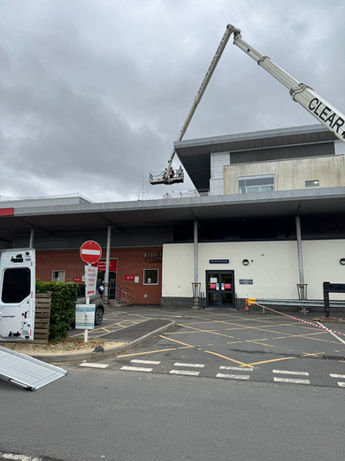 Commercial bird proofing works, using advanced technology.