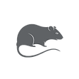 PGM & Son Pest Control services in Herefordshire and Worcestershire