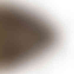 PGM & SON; The Surprising Truth About Clothes Moths - And How to Get Rid of Them