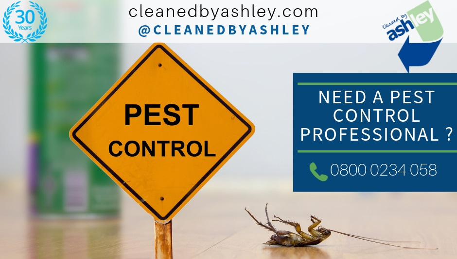 Pest Control Services London UK