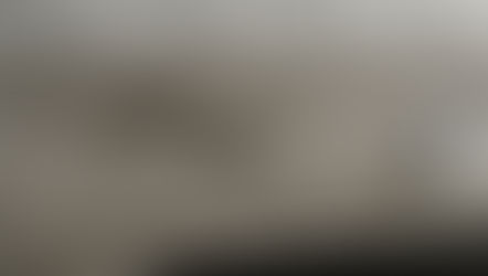 Heavily bed bug infested mattress found by a pest consultant at PGM pest control at a residential council property in Hereford