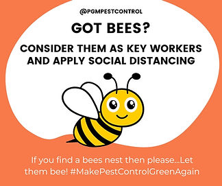 LET THEM BEE consider them as key workers and apply social distancing