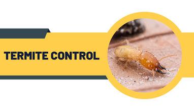 Infographic showing eco-friendly termite control methods by award-winning BPCA and NPTA certified pest technicians