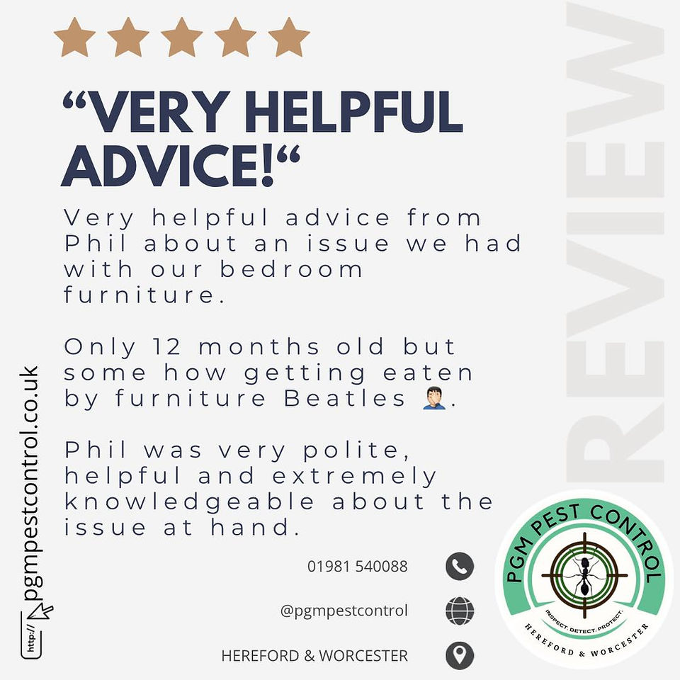 PGM & SON; Very helpful advice image