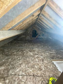 Clean loft after professional clearance and decontamination, with a fresh layer of insulation installed by PGM pest control services