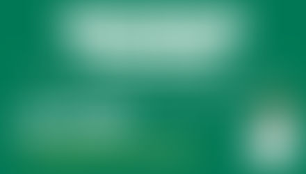 Are You Having a Problem With Cluster Flies?