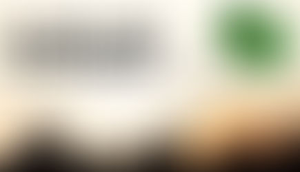 Got a Problem with Flying Ants? Here's What You Need to Know