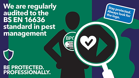 We are regularly audited to the BS EN 16636 standard in Pest Management_