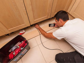 Pest Control Methods Explained: Choosing the Most Effective Solution for Every Pest