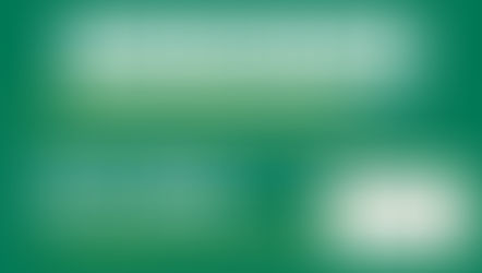 Types of Ants in the UK Complete Identification Guide