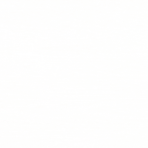 Worcester Pest Control News