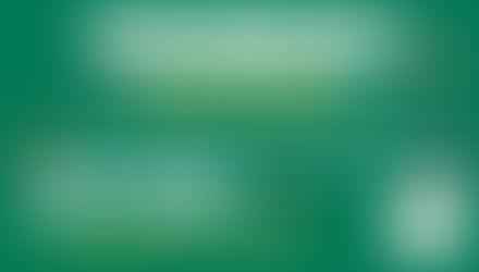 Herefordshire December Pest Watch Local Winter Pests across Hereford, Ross, Ledbury, Leominster, Bromyard & Kington