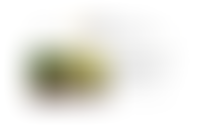 Finews | SFI: Family Offices Target Asia for Sustainable Investments