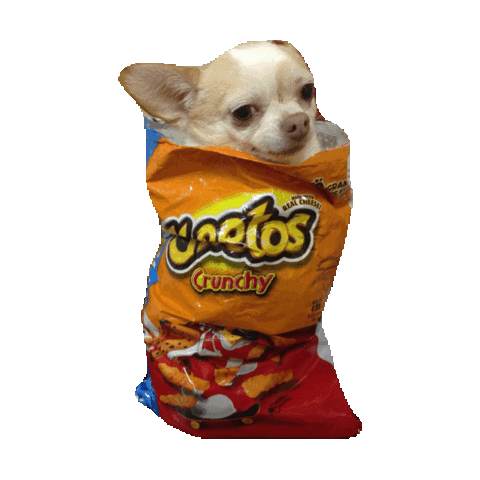 giphy (1).gif