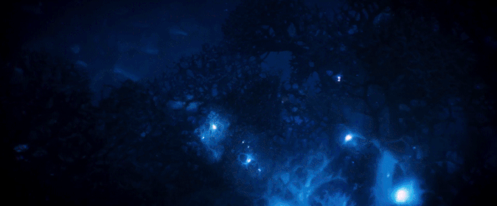 GIF 5.gif