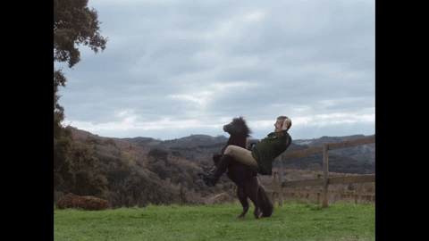 giphy (1).gif
