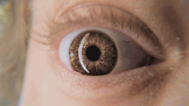 GIF 4.gif