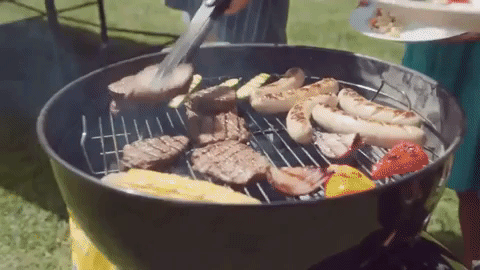 giphy (8).gif