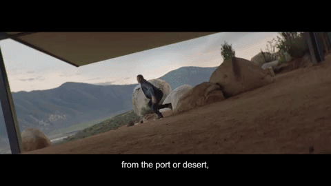 giphy (2).gif