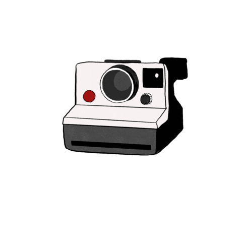 giphy (2).gif