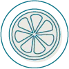 anti-oxidant ICON.webp