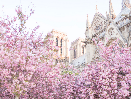 「干货」巴黎房屋租赁投资全攻略（三）：租房会产生哪些费用？