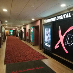 WhatsApp Image 2023-02-15 at 12.14.41 (2).jpeg