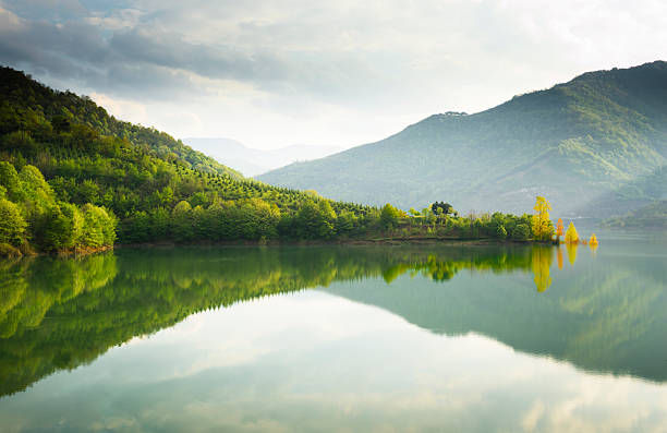 istockphoto-474267374-612x612.jpg