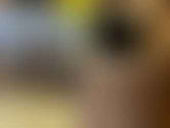 Full House Clear-out