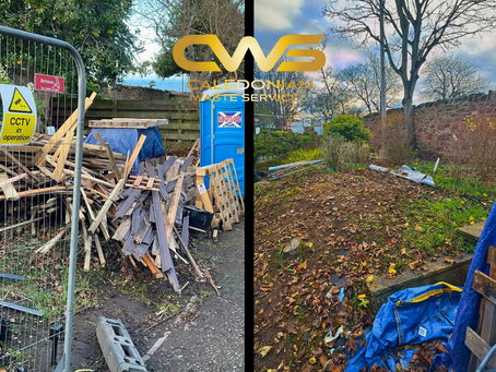 Wooden Pallets Removal