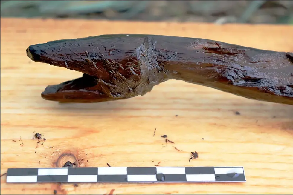 Descoberto Bastão de Serpente de 4.000 anos na Finlândia