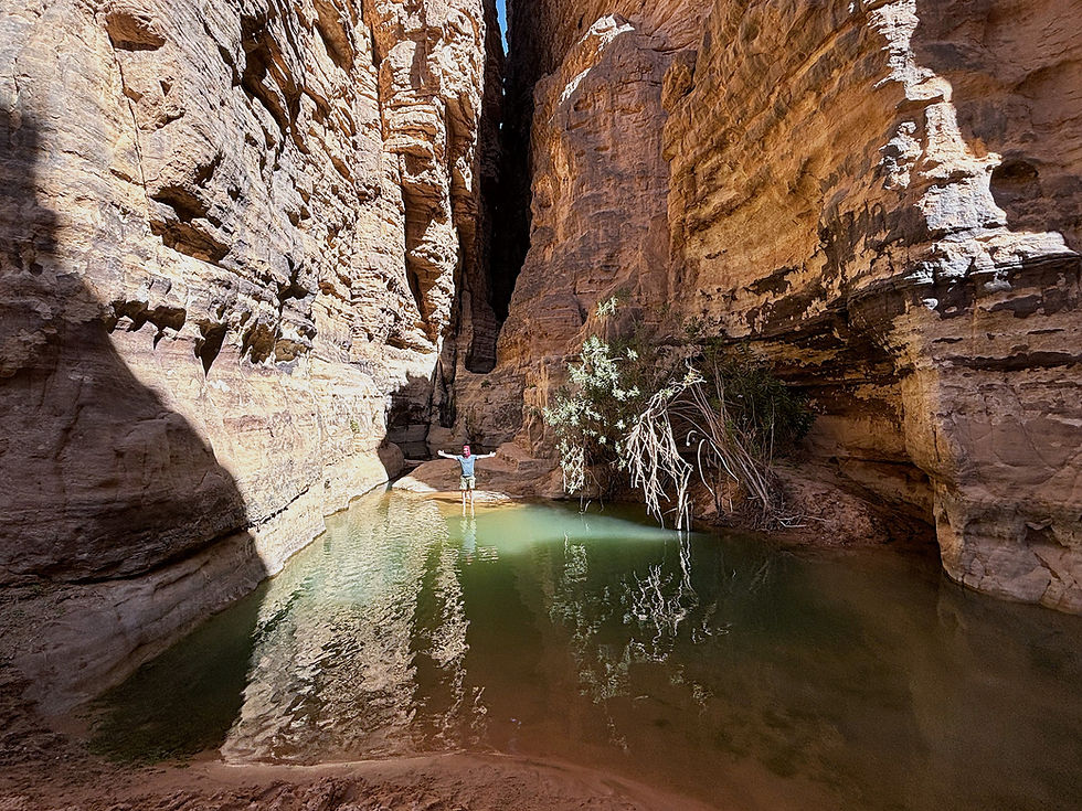 Oasis in central Sahara