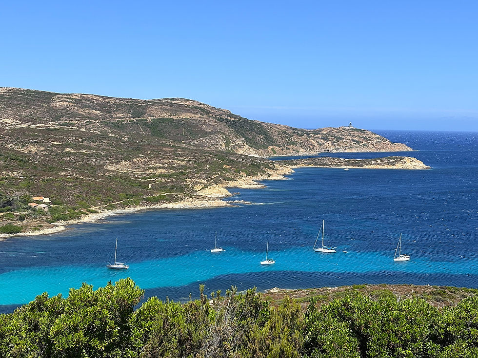 Corsica island: Coastline in the Northwest between Calvi and Galeria - Corsica island, part of Franc
