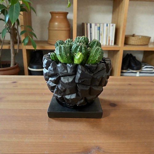 植木鉢 #12 Φ12×10 | kiccouden