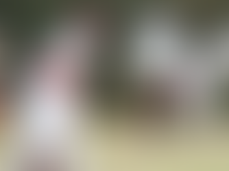 Umpire Training Course