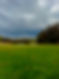 IMG_2665.jpeg