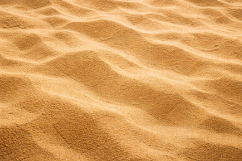 447A9EF6-0E10-42F1-8397-3837089E6A33.png