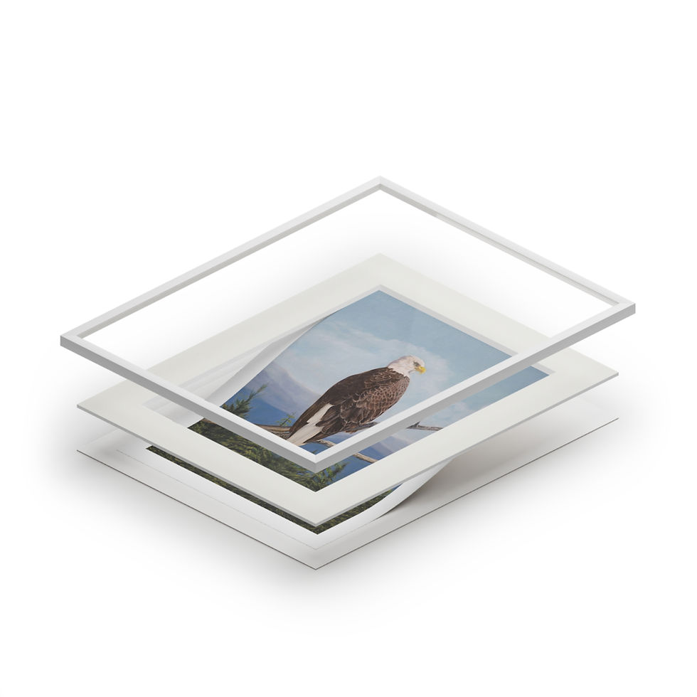 Thumbnail: Fine Art Giclée Prints (with matt frame)