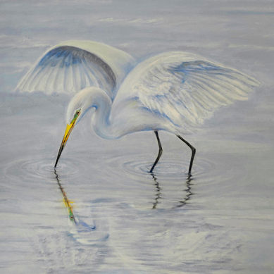 egret's wings